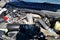 2023 Ford Super Duty F-250 SRW XL